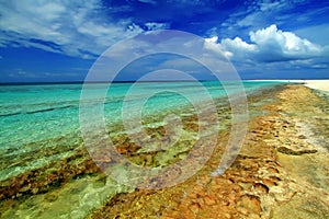 Colorful beach at wakatobi