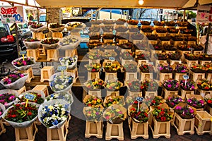 Colorful and beautiful bouquets of flowers for sale on a market stand in Amsterdam, Netherlands