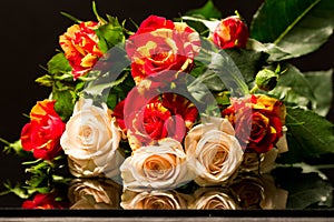 Colorful, beautiful, delicate roses