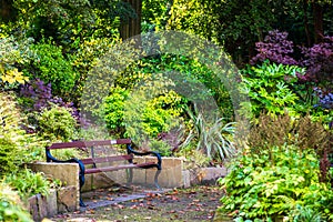 Colorful Beautiful English Garden during Fall Season, England, U photo