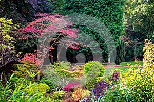 Colorful Beautiful English Garden during Fall Season