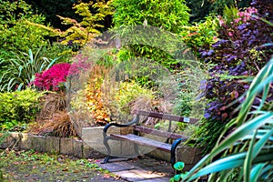 Colorful Beautiful English Garden during Fall Season photo