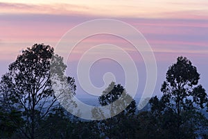 Colorful beautiful magenta clouds on sky before the sunrise in the hazy early morning time