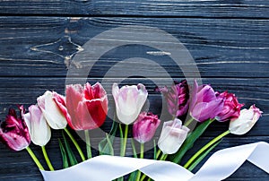 Colorful beautiful pink violet tulips on gray wooden table. Valentines, spring background. floral mock up.