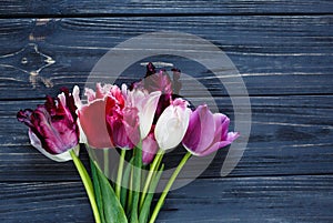 Colorful beautiful pink violet tulips on gray wooden table. Valentines, spring background. Floral mock up with copyspace.