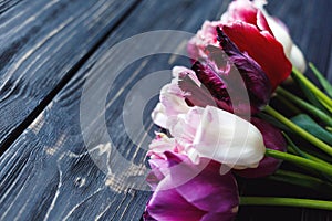 Colorful beautiful pink violet tulips on gray wooden table. Valentines, spring background. Floral mock up with copyspace.