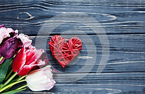 Colorful beautiful pink violet tulips and red heart on gray wooden table. Valentines, spring background.