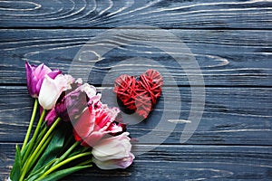 Colorful beautiful pink violet tulips and red heart on gray wooden table. Valentines, spring background. Floral mock up