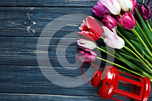 Colorful beautiful pink violet tulips and red lantern on gray wooden background. Valentines, spring background.