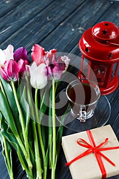 Colorful beautiful pink violet tulips and red lantern on gray wooden background. Valentines, spring background.