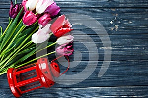 Colorful beautiful pink violet tulips and red lantern on gray wooden background. Valentines, spring background. floral mock up.