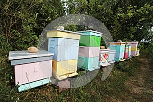 Colorful beehives in a garden