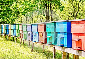Colorful Beehives in a Row
