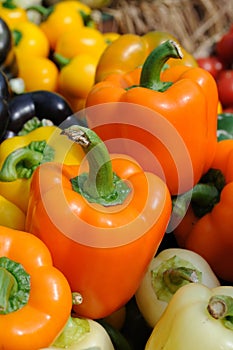 Colorful bell peppers