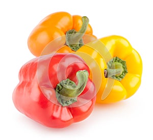 Colorful bell peppers