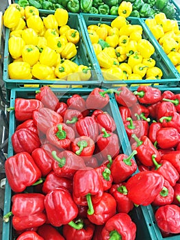 Colorful bell peppers in a basket with a super sale