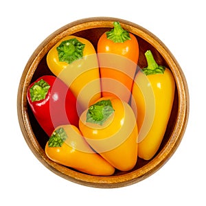 Colorful bell peppers, fresh sweet peppers, capsicum in wooden bowl