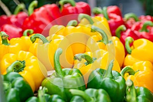 Colorful bell peppers at organic vegetable market