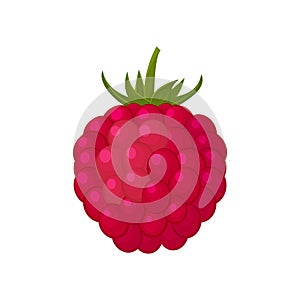 Colorful berry raspberry icon on white background.