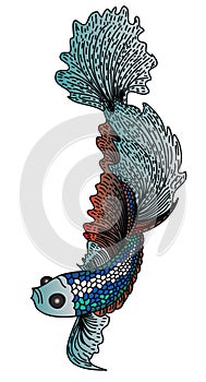 Colorful Betta fish vector.beautiful Fighting fish.