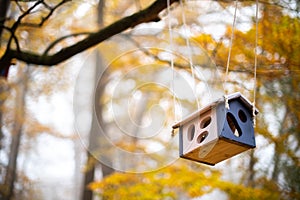 Colorful bird feeder in the autumn mist park