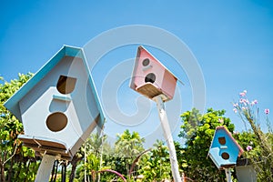 Colorful bird house in summer with sunny day blue sky.