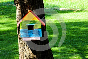 Colorful bird house on the tree.