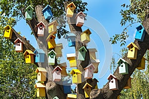 Colorful Bird Houses. Houses for birds. Lodges for a wintering of birds