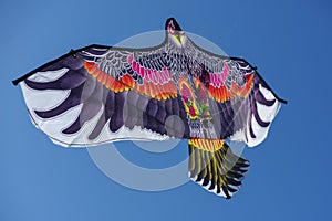 Colorful bird kite flying in blue sky