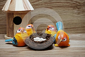 Colorful bird with nest and eggs on wooden background