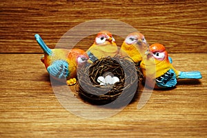 Colorful bird with nest and eggs on wooden background