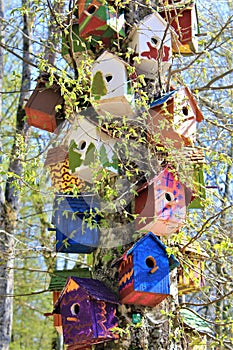 A colorful birdfeeder on the tree