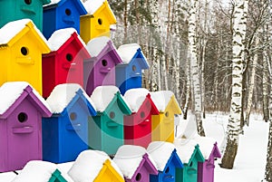 Colorful birdhouses for the birds in snow.