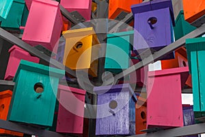 Colorful birdhouses boxes