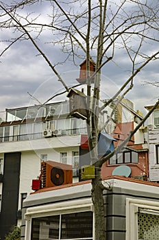 colorful birdhouses on the tree for birds in the city