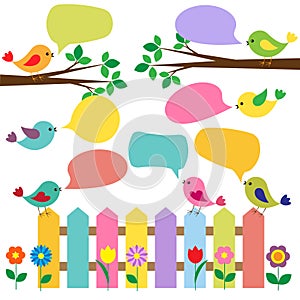 Colorful birds with bubbles for speech