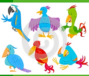 Colorful birds cartoon characters set