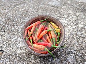 Colorful Birds Eye Chili or Thai Chili (Capsicum Annuum)