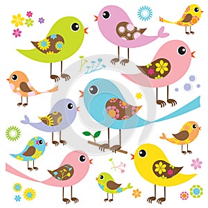 Colorful Birds with Floral Pattern