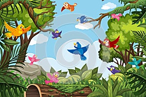 Colorful birds in jungle scene