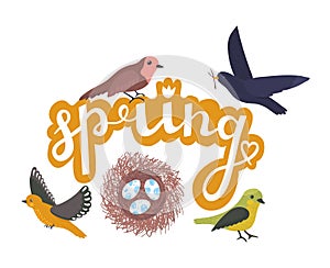 Colorful birds with a nest of eggs, accompanied by decorative text. Warm season celebration, nature, and new beginnings