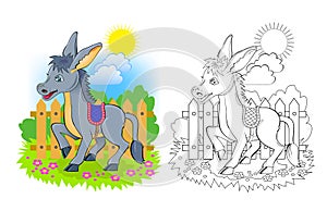 Colorful and black and white page for coloring book. Illustration of cute domestic donkey. Printable worksheet for children