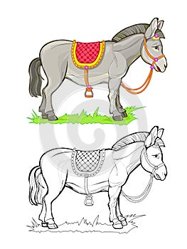 Colorful and black and white page for coloring book. Illustration of a cute little donkey. Printable worksheet for children