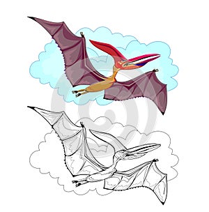 Colorful and black and white page for coloring book. Illustration of flying pterodactyl. Printable worksheet for children exercise