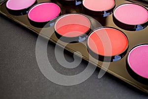 Colorful blush set. Professional cosmetics.