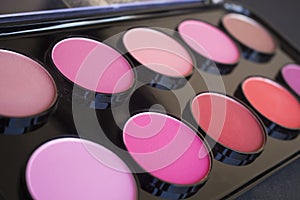 Colorful blush set. Professional cosmetics.