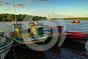 Colorful boats