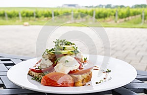 Colorful Bocconcini Salad Served in a Winery Restaurant