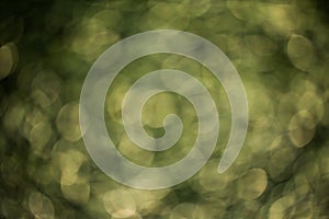 Colorful bokeh background. abstract blurred circles in nature colors. Copyspace for design and text.