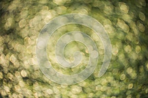 Colorful bokeh background. abstract blurred circles in nature colors. Copyspace for design and text.